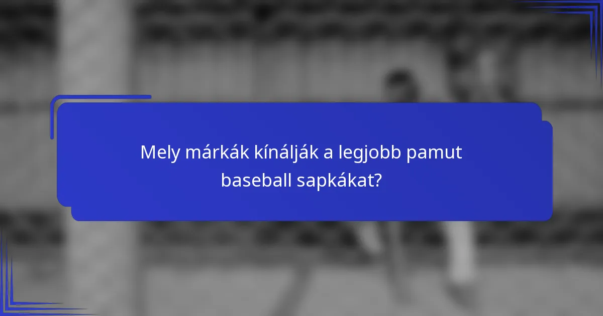Mely márkák kínálják a legjobb pamut baseball sapkákat?
